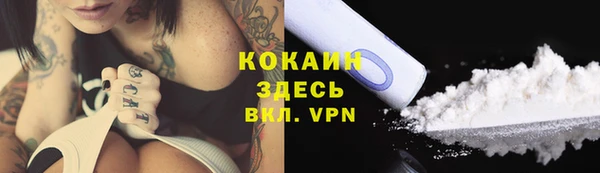 винт Гусиноозёрск