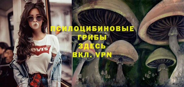 MESCALINE Гусь-Хрустальный