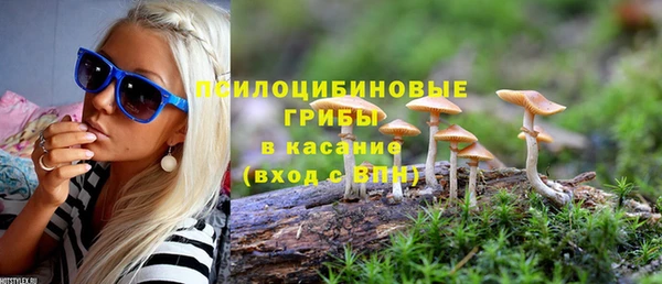 стаф Долгопрудный