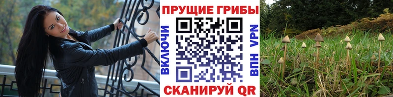 Галлюциногенные грибы мухоморы  Купить  Николаевск-на-Амуре 